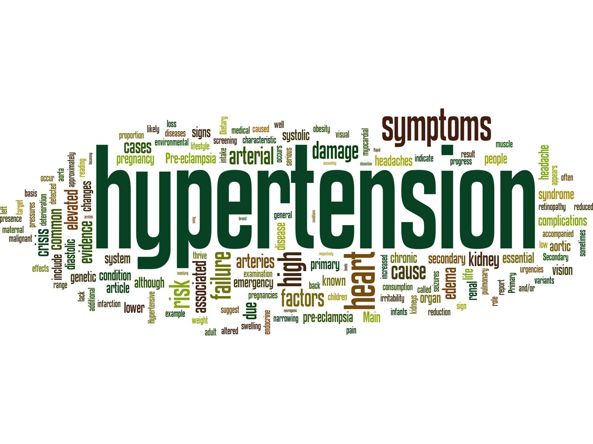 A quick guide to high blood pressure!